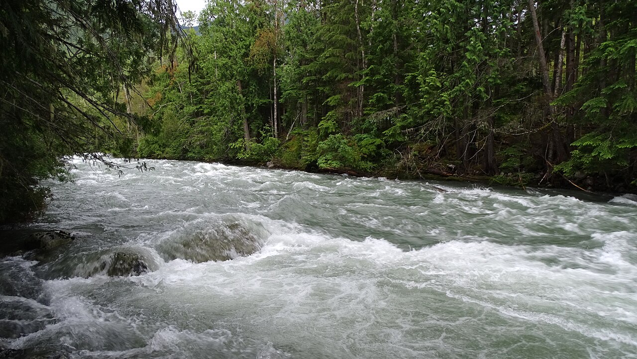 Rosebery Provincial Park