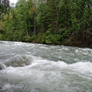 Rosebery Provincial Park