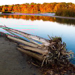 Rouge National Urban Park
