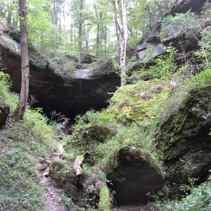 Salt Fork State Park