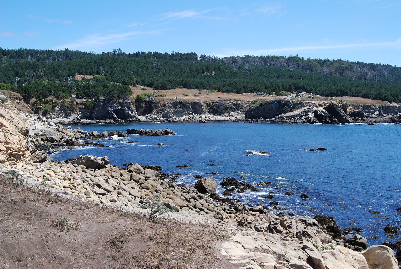 Salt Point State Park