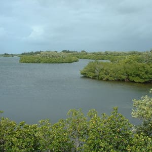 Sebastian Inlet State Park