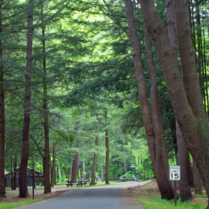 Sizerville State Park
