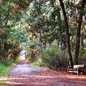 Skidaway Island State Park