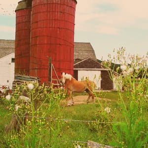 Snake Den State Park