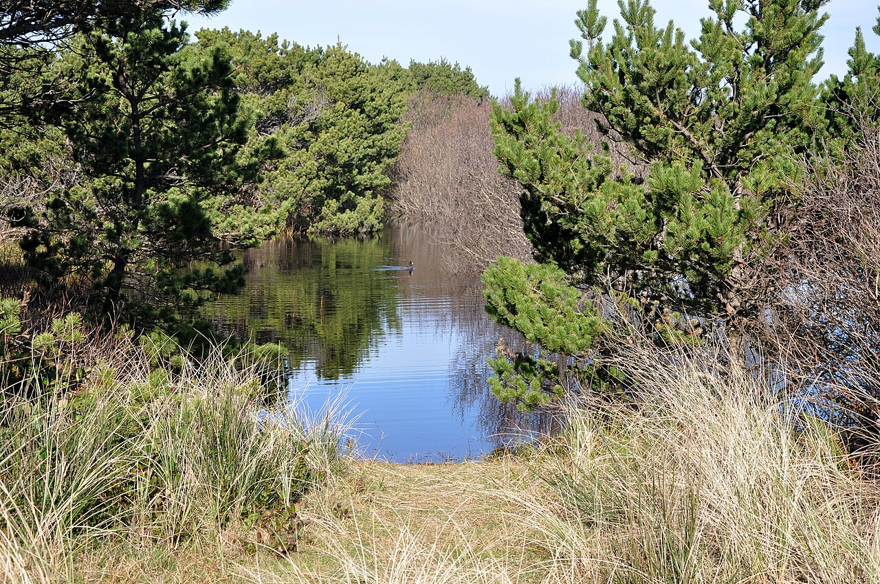 South Beach State Park