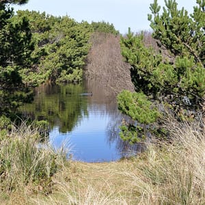 South Beach State Park