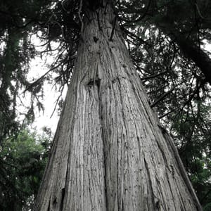 South Whidbey State Park