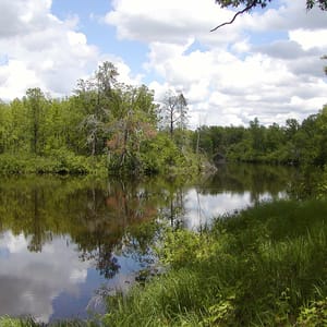 St. Croix State Park