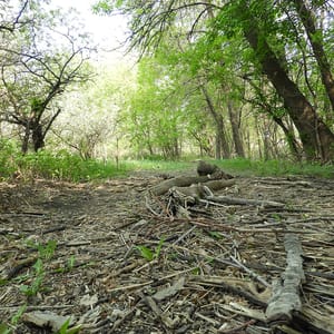 St. Norbert Provincial Heritage Park