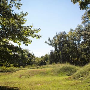 Staunton River Battlefield State Park