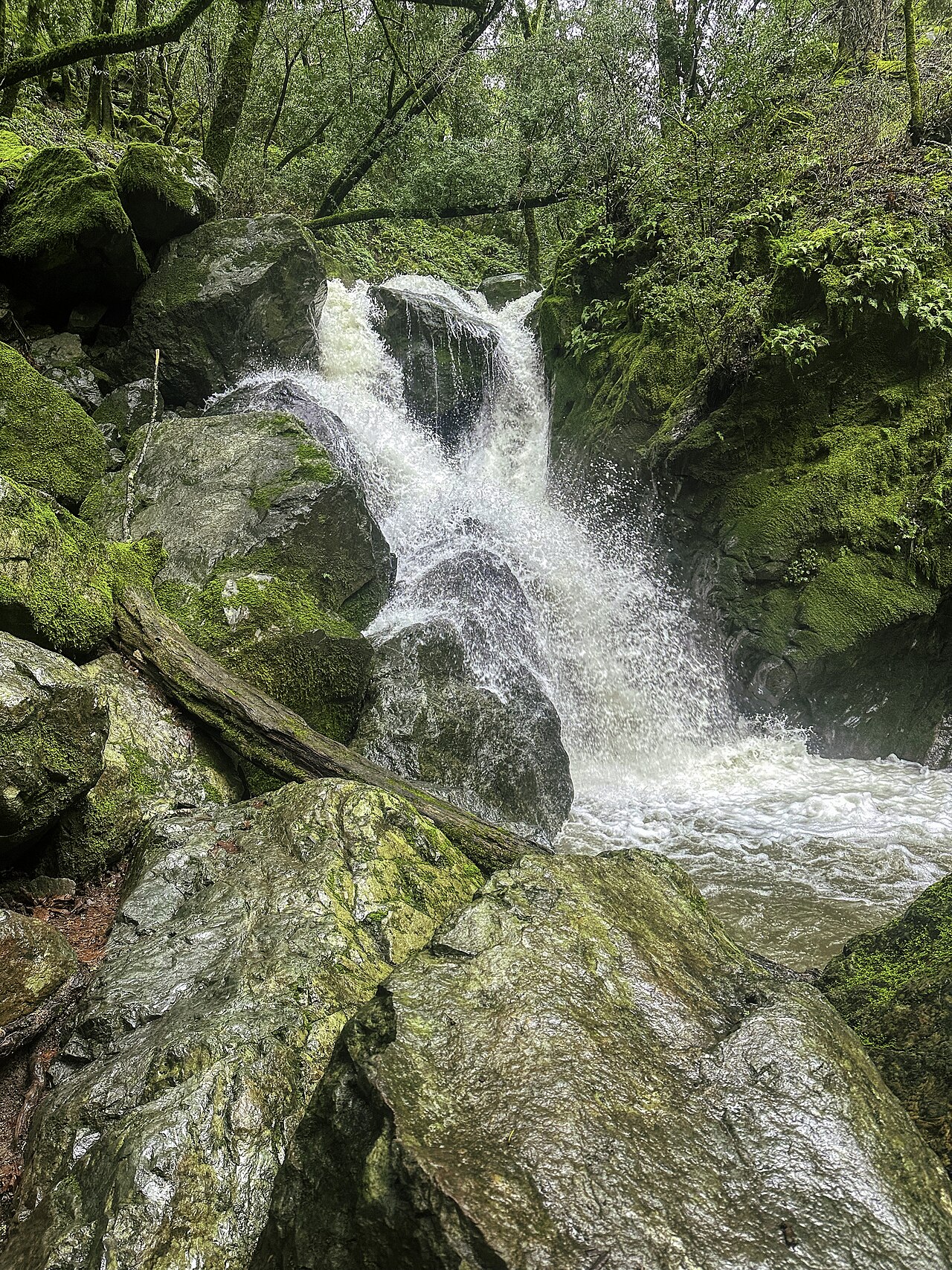 Sugarloaf Ridge State Park