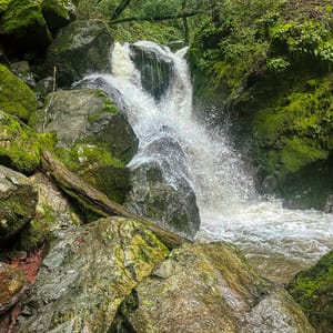 Sugarloaf Ridge State Park