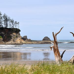 Sunset Bay State Park