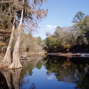 Suwannee River State Park