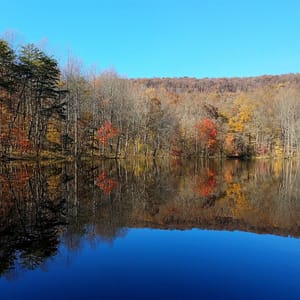 Sweet Run State Park