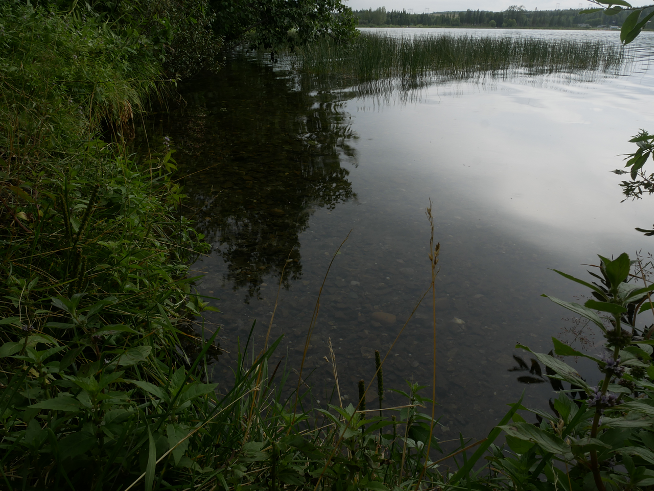Ten Mile Lake Provincial Park