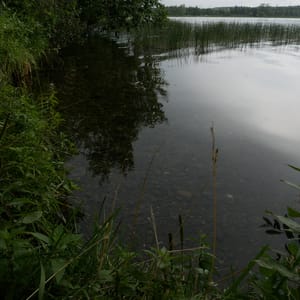 Ten Mile Lake Provincial Park