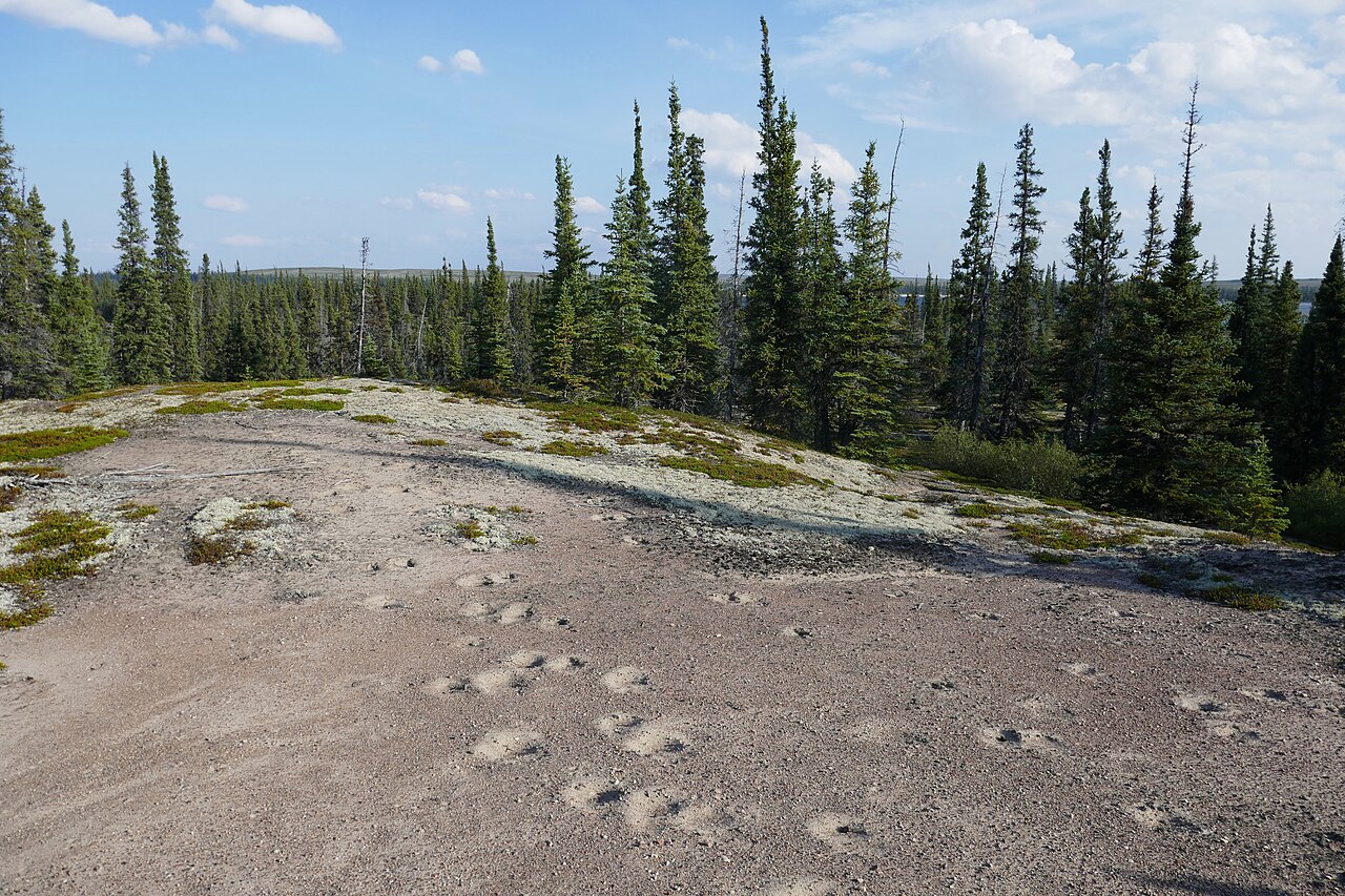 Thaidene Nene National Park Reserve