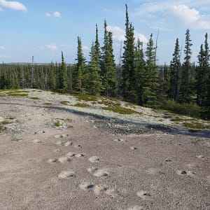 Thaidene Nene National Park Reserve