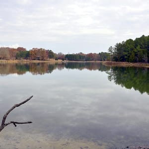 Trace State Park