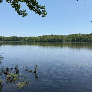 Trap Pond State Park