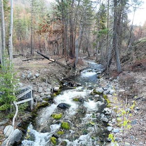 Twenty-Five Mile Creek State Park