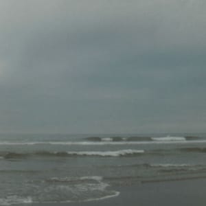 Twin Harbors State Park