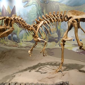 Utah Field House of Natural History State Park Museum