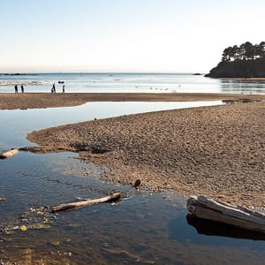 Van Damme State Park