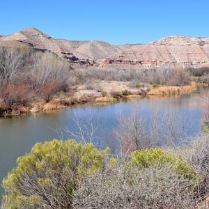 Verde River Greenway State Natural Area