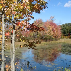 Verona Beach State Park