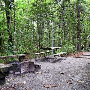Village Creek State Park