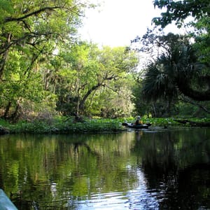 Wekiwa Springs State Park