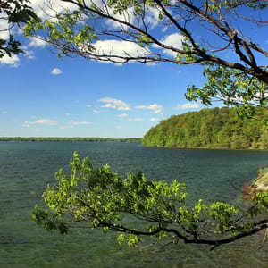 Wellesley Island State Park