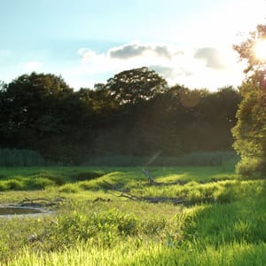 Wheatley Provincial Park