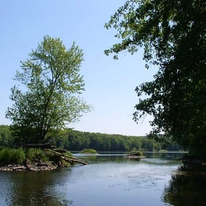 Wild River State Park