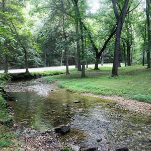Withrow Springs State Park
