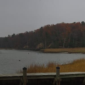 York River State Park